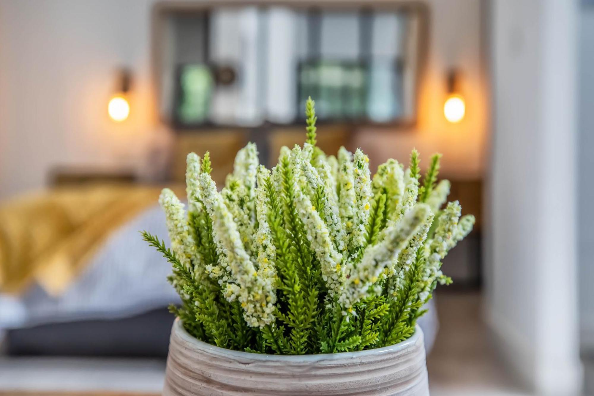 Apartmán Garesc Lofts Córdoba Exteriér fotografie